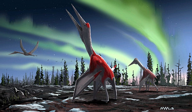 Палеонтологи назвали самое крупное летающее животное на Земле